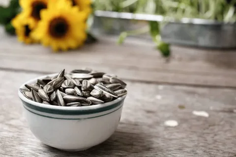 تصویر 1 از خرید و قیمت تخمه گل آفتاب گردان گلپری + فروش عمده